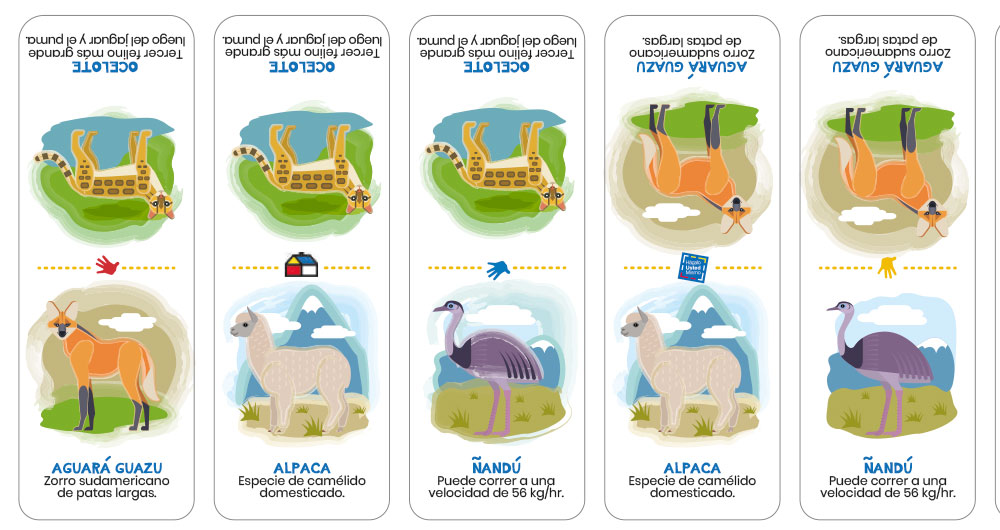 Estudio color obscuro