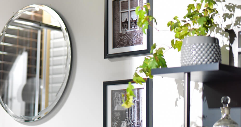 espejos, cuadros, plantas y decoracin de hogar