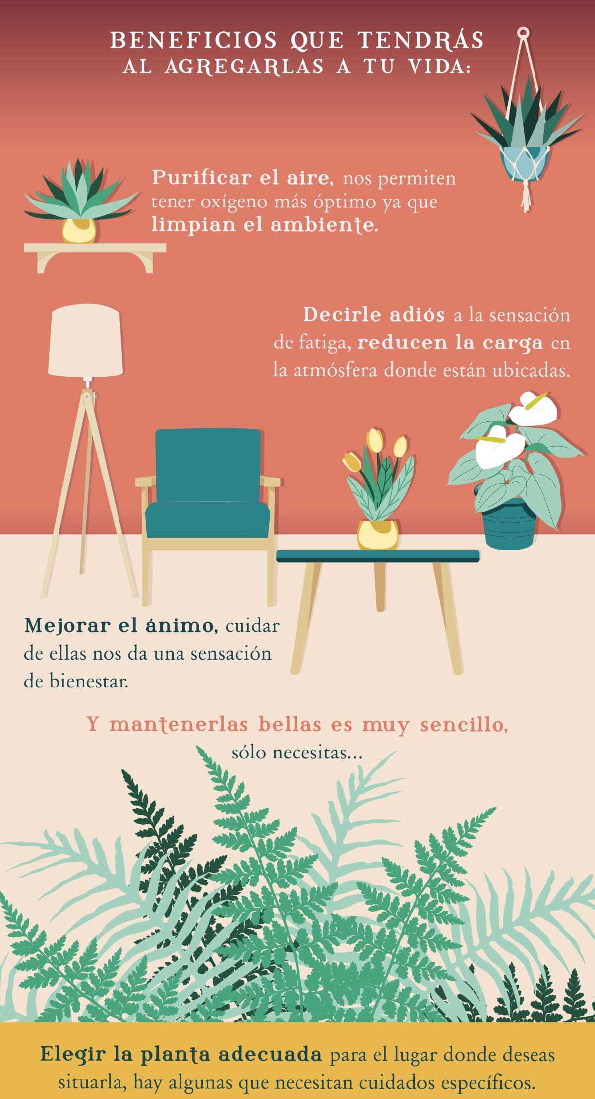 Beneficios que tendrs al agregarlas a tu vida. | Purificar el aire, nos permiten tener oxgeno ms ptimo ya que limpian el ambiente. | Decirle adis a la sensacin de fatiga, reducen la carga en la atmsfera donde estn ubicadas. | Mejorar el nimo, cuidar de ellas nos da una sensacin de bienestar. | Y mantenerlas bellas es muy sencillo, slo necesitas... | Elegir la planta adecuada para el lugar donde deseas situarla, hay algunas que necesiten cuidados especficos.