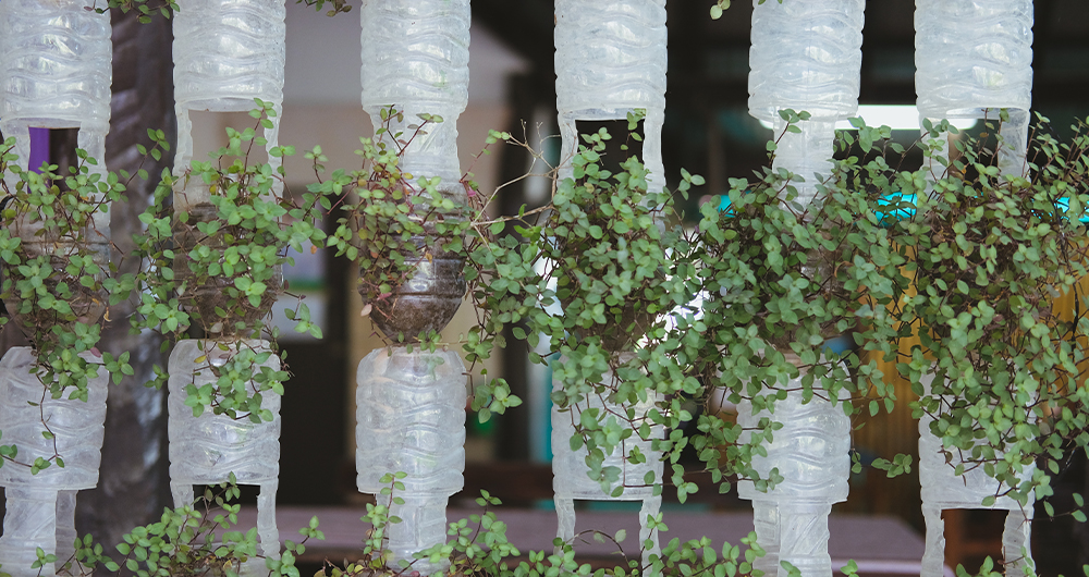 Plantas creciendo en jard�n vertical hecho de botellas