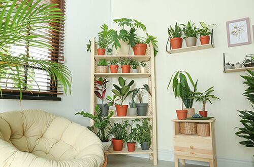 dormitorio decorado con muchas plantas