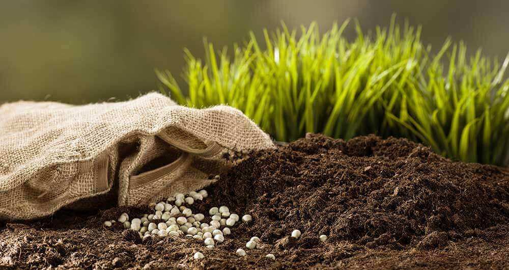 Vitaminas sobre tierra con pasto en la parte trasera